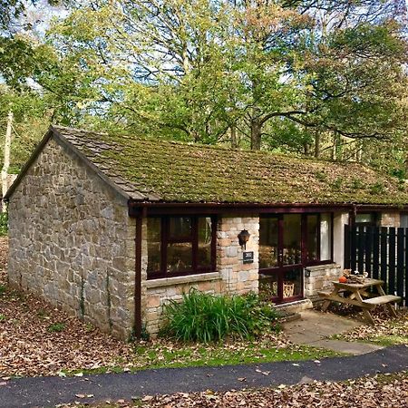Cosy Woodland Home Uny Lelant Exterior photo