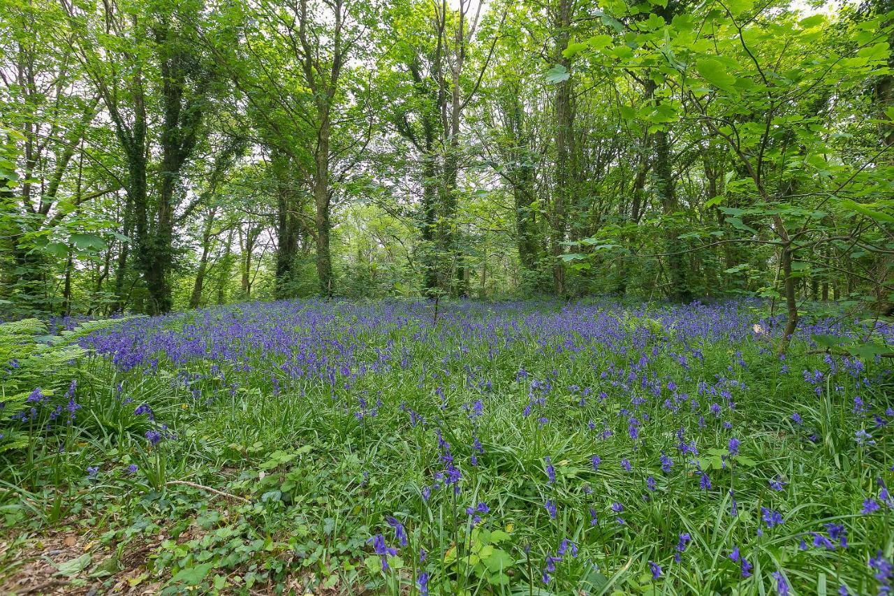 Cosy Woodland Home Uny Lelant Exterior photo